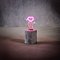 Luca Lighting Tischlampe Herz batteriebetrieben und Timer 18 cm rosa