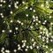 Kaemingk Lumineo Cluster Guirlande lumineuse 144 LED blanc chaud 1,3m noir extérieur