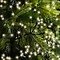 Cadena de luces Kaemingk Cluster 2040 LED blanco cálido exterior 17 m negro