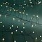 Kaemingk Lumineo Guirlande lumineuse Compact Twinkle 360 Micro LED blanc chaud 4,5 m noir