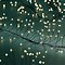 Kaemingk Lumineo Guirlande lumineuse Cluster Twinkle 480 Micro LED blanc chaud 3m noir