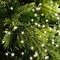 Cadena de luces Kaemingk Compact 500 LED blanco cálido exterior 11 m verde