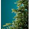 Lumineo LED-Lichtbündel 320 Micro LED warmweiß 16 x 1 m silber