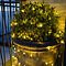 Sirius light net Easy-Line 100 LED warm white 1.5 m green outdoor