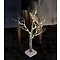 Sirius LED Tree Tora Tree 40 LED bateria 60cm brązowy