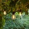 Sirius Biergartenlichterkette Tobias Erweiterung 10 LED klar 4,5 m schwarz außen
