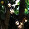 Sirius Lichterkette Lucas Starter Set 10 LED klar 3 m schwarz