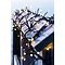 Sirius light chain Top-Line System cluster lights Starter Set 200 LED outdoor 3m