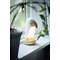 Star Trading Nachtlampe LED Functional Touchsensor Tukan 