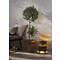 Star Trading Lampe solaire LED Marron 18,5x25 cm extérieur brun